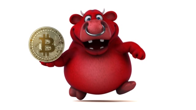 bull, run, bitcoin