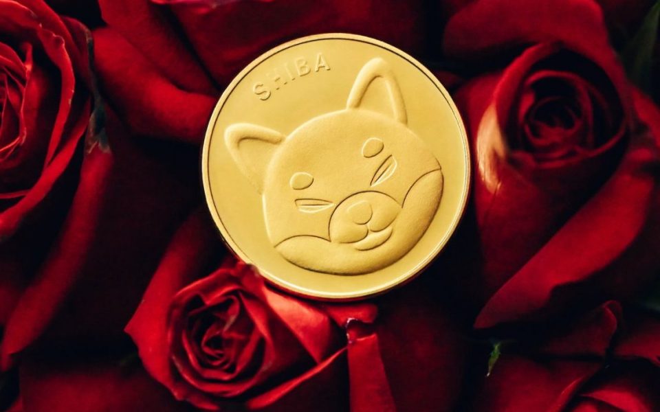 Shiba Inu, DOGE & XRP Are Available For Future Trading In Bitbns