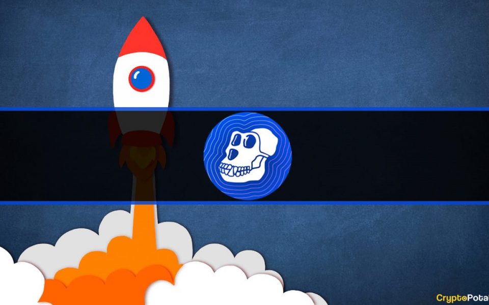 ApeCoin Skyrockets 16% Daily, Bitcoin Taps $20K (Weekend Watch)