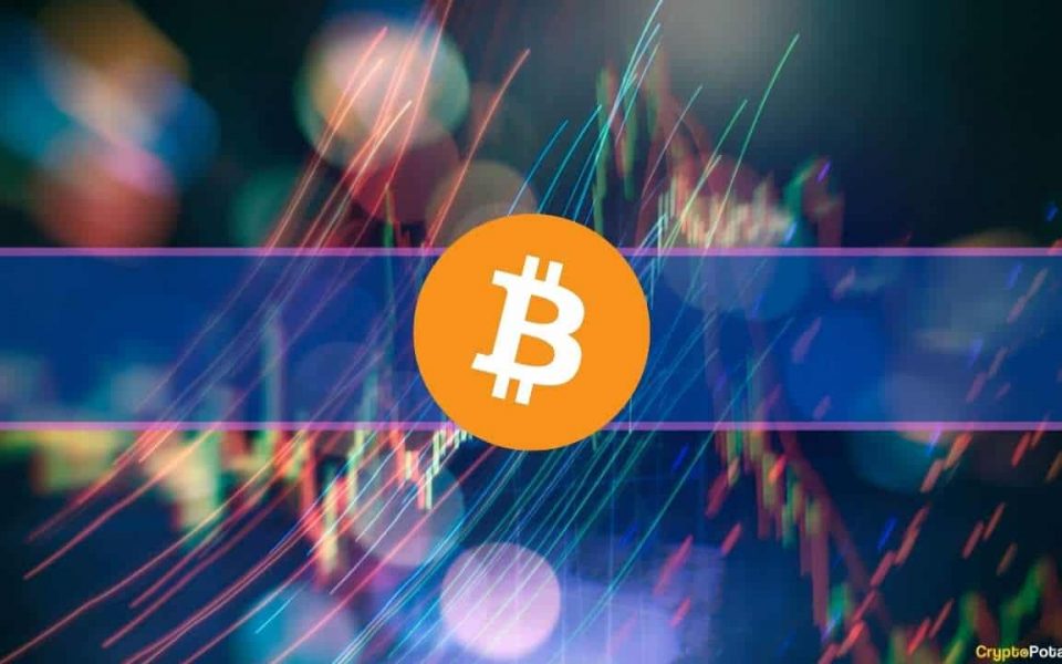 Bitcoin’s Rollercoaster Towards $20K, Inflation Numbers, and Google’s Foray into Crypto: This Week’s Recap